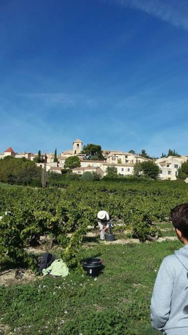 Le Temps Des Cerises. Villa Vinsobres Dış mekan fotoğraf